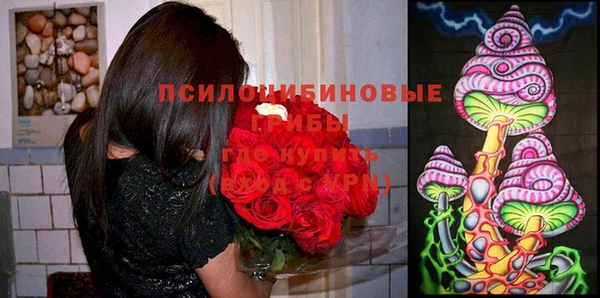 соль курить ск Арсеньев