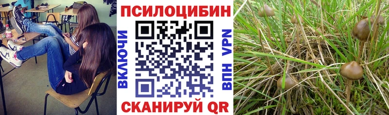 Псилоцибиновые грибы Magic Shrooms Сокол