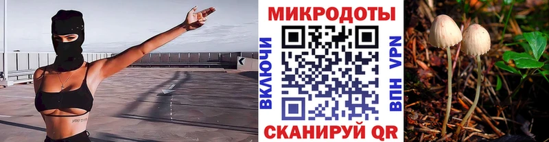 Галлюциногенные грибы Cubensis  Сокол 